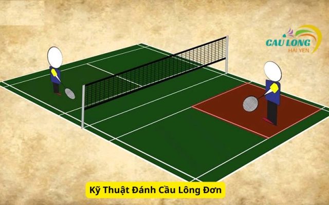 Kỹ Thuật Đánh Cầu Lông Đơn