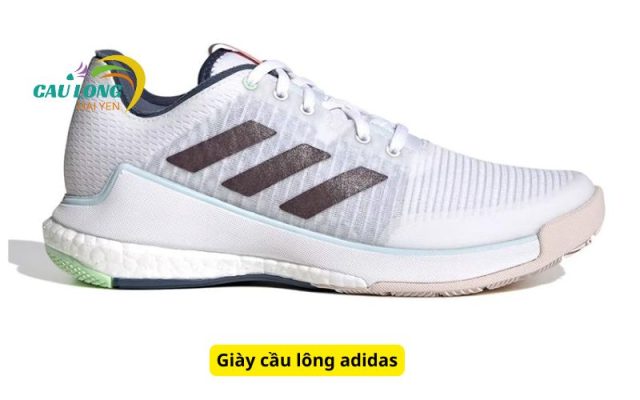 Giày cầu lông adidas